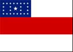 Bandeira do Amazonas