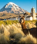 Que tal viajar para a Bol