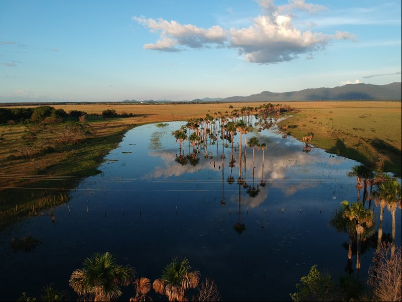 Viajar no feriado da Semana Santa para Roraima - Estado de Roraima - Regi