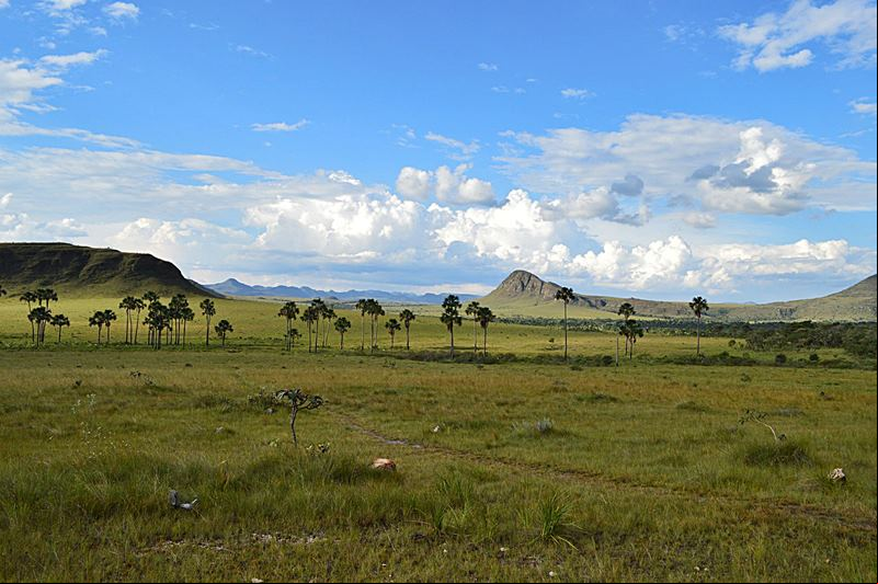 Jardim de Maytrea - Parque Nacional da Chapada dos Veadeiros - Alto Para