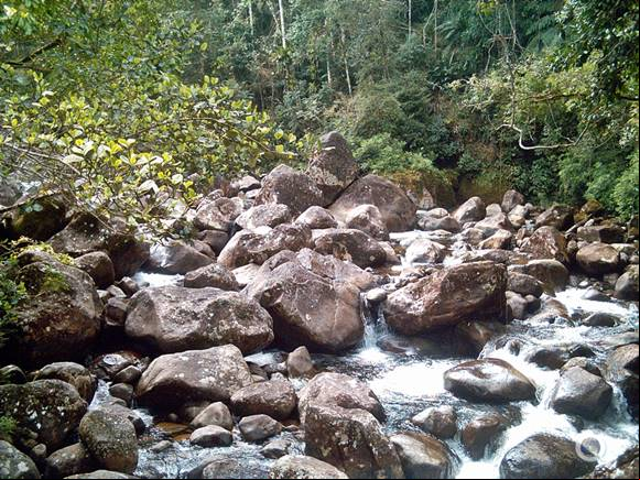 Parque Nacional do Itatiaia - Estado do Rio de Janeiro - Regi